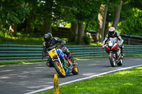 cadwell-no-limits-trackday;cadwell-park;cadwell-park-photographs;cadwell-trackday-photographs;enduro-digital-images;event-digital-images;eventdigitalimages;no-limits-trackdays;peter-wileman-photography;racing-digital-images;trackday-digital-images;trackday-photos